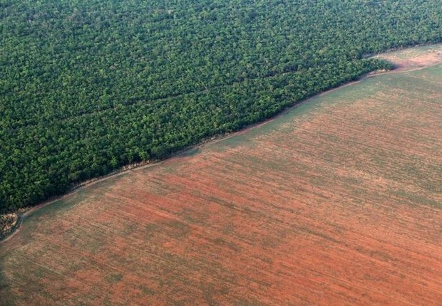 Desmatamento na Amazônia tem crescido desde o início do governo Jair Bolsonaro (Foto: Paulo Whitaker/Reuters via BBC)