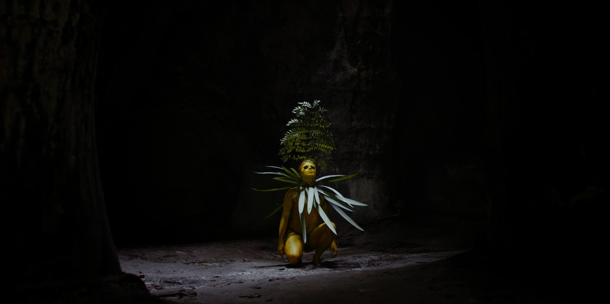 サンパウロ映画祭: アマゾンの大義に捧げられたプログラムからの 6 本の映画 | 映画