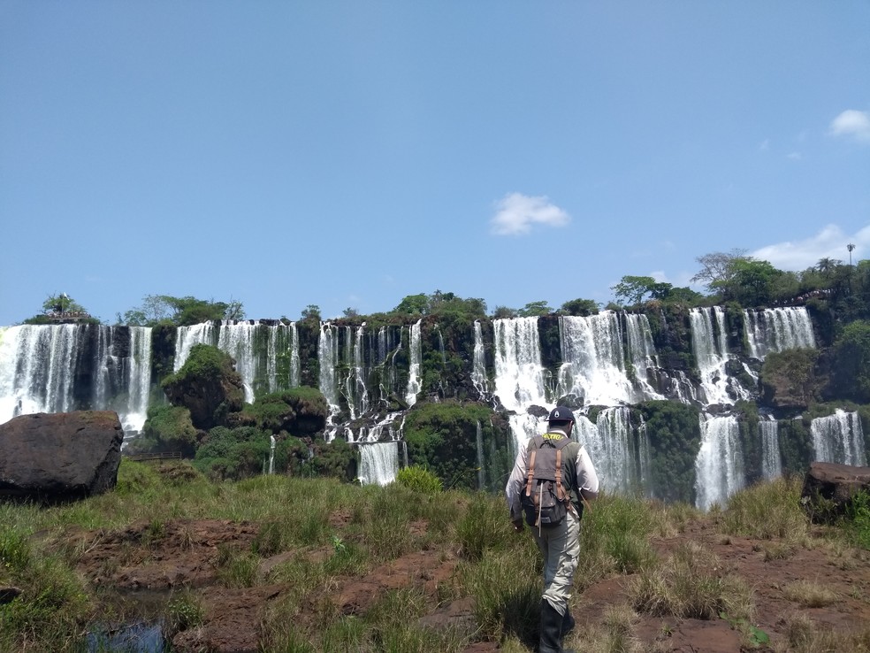 Equipe andando em região nas proximidades das Cataratas do Iguaçu  — Foto: Centro de Investigações Cientificas Argentinas e Universidade Nacional da Prata