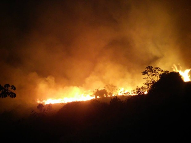 Equipes tentam combater chamas na região do Mucugezinho  (Foto: Edmar de Lima de Carvalho/ICMBio)