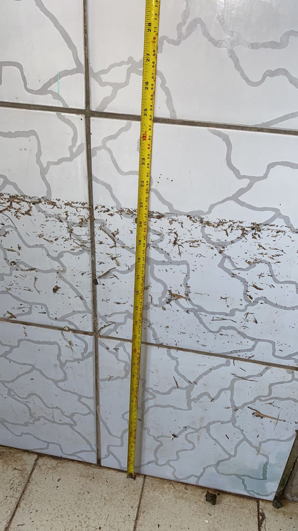 Morador mostra altura em que a água chegou em sua casa após fortes chuvas em Porto Velho — Foto: Arquivo Pessoal