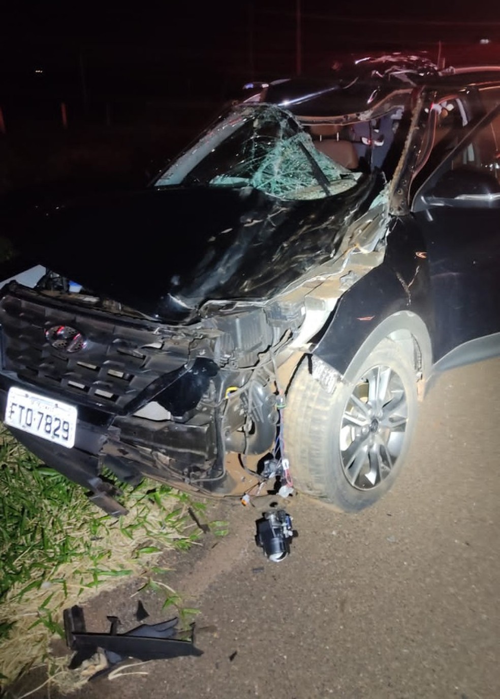 O carro da jogadora Núbia Rebello atingiu um cavalo na Rodovia Anhanguera em Cravinhos (SP) — Foto: Reprodução