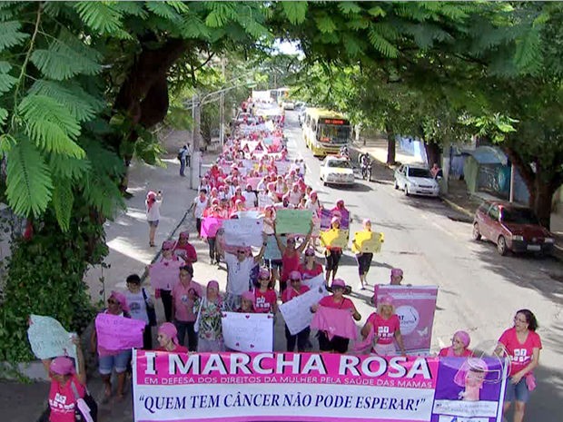 ‘Marcha Rosa’ foi realizada neste sábado (8) na Avenida Getúlio Vargas, em Cuiabá. (Foto: Reprodução/ TVCA)