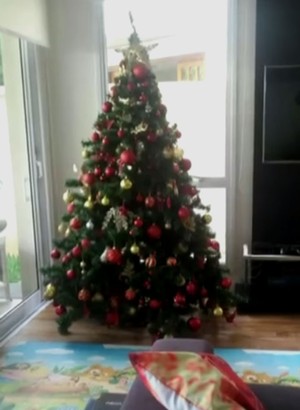 A árvore de Natal de Wanessa não tem nada de 'capenguinha', não é mesmo? (Foto: TV Globo)