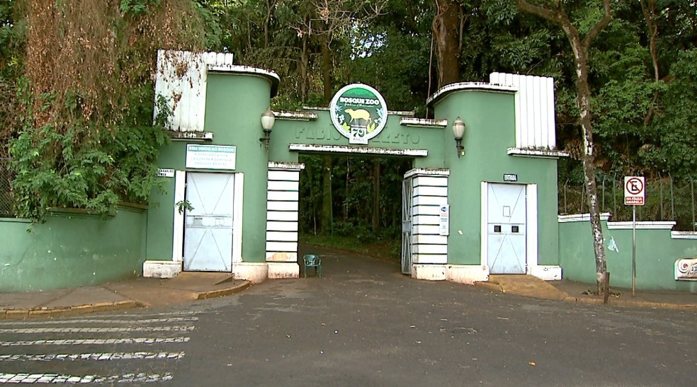 Bosque e Zoológico Municipal Fábio Barreto em Ribeirão Preto recebe turistas de Batatais e Brodowski -SP  — Foto: Reprodução/EPTV