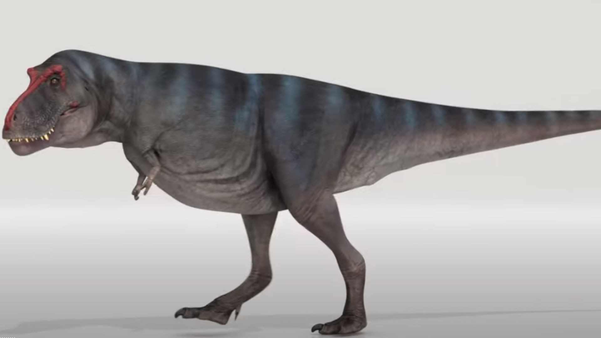 Representação de um Tiranossauro Rex  (Foto: Naturalis Biodiversity Center)