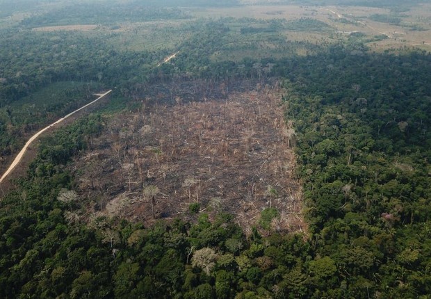 Desmatamento, amazônia (Foto: Agência Brasil)