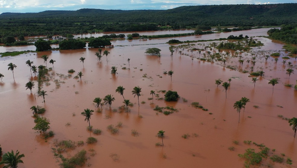 Rio Parnaíba sobe 8 metros em Uruçuí, no Sul do Piauí  — Foto: Luis Netto/ Netto Fotografia