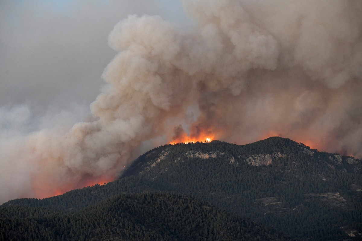 Incêndios atingem leste da Espanha e destroem mais de 4 mil hectares de floresta