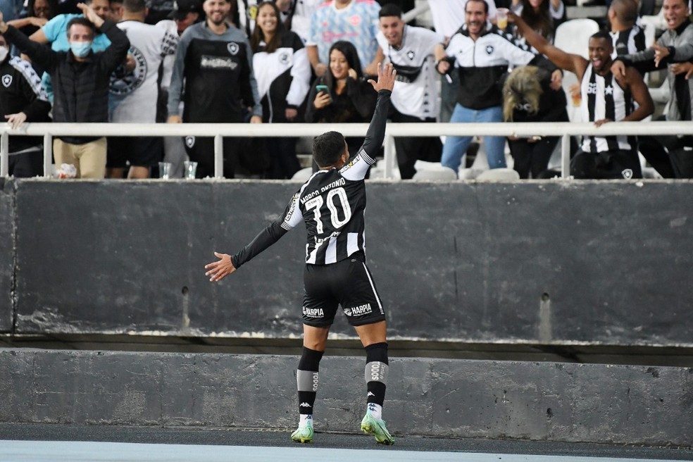 Marco Antônio dedica vitória contra o Brusque à torcida do Botafogo: "Eles  merecem" | botafogo | ge