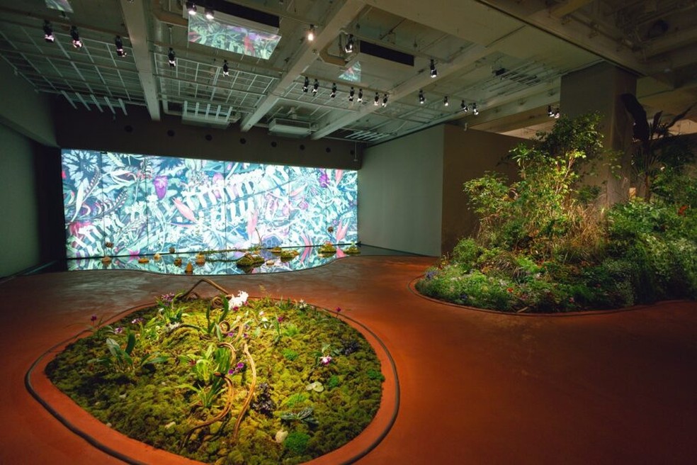 Japan House inaugura exposição botânica que reforça a importância da  natureza para nosso bem-estar | Wellness | Vogue