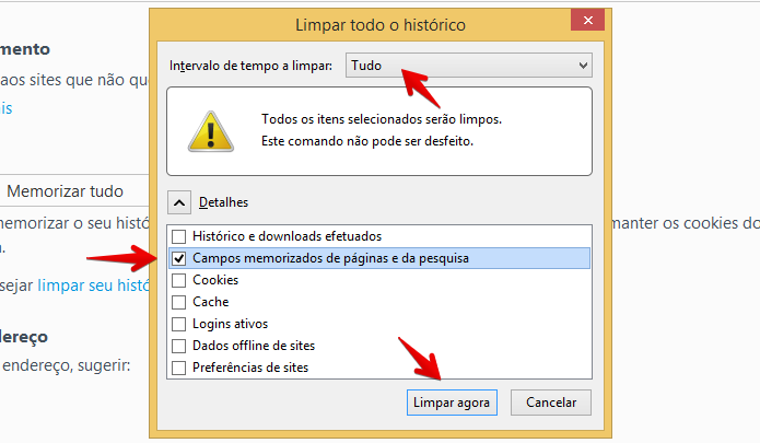 Apagando dados de formulários no Firefox (Foto: Reprodução/Helito Bijora) 