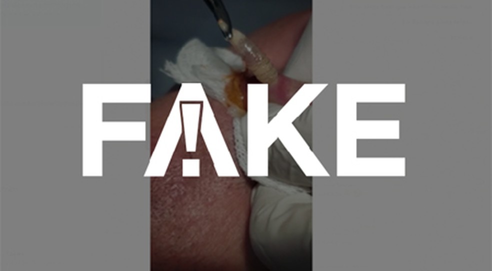 E Fake Que Beber Cerveja Suco Ou Refrigerante Sem Lavar A Lata Pode Fazer Verme Entrar No Labio Fato Ou Fake G1 Todas as fotos estão disponíveis para download, inclusive para uso em projetos comerciais. e fake que beber cerveja suco ou