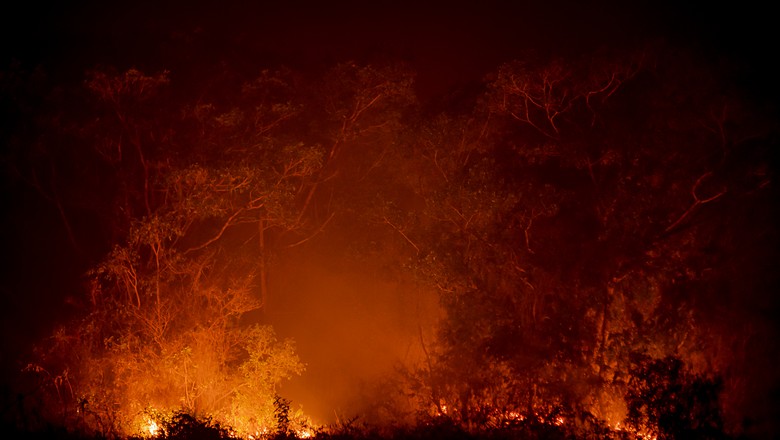 Fogo no Pantanal (Foto: José Medeiros/Globo Rural)