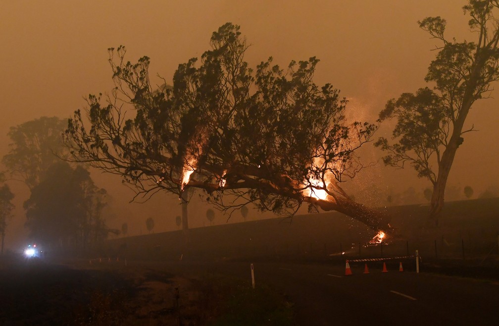 5 de janeiro - Uma árvore em chamas é derrubada para evitar que caia em um carro durante os incêndios flroestais em Nova Gales do Sul, na Austrália  — Foto: Tracey Nearmy/Reuters