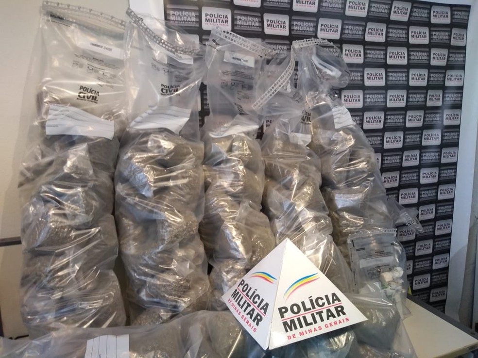 PM estima apreensão de cerca de 100 kg da droga  — Foto: Aline Fonseca/g1