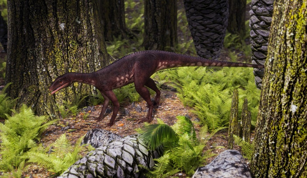 O Sacisaurus agudoensis, pequeno animal que viveu cerca de 225 milhões de anos atrás, foi encontrado em Agudo — Foto: Márcio Castro/Reprodução