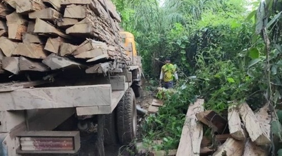 Madeireiros continuam agindo na Terra Indígena Araribóia, região onde Paulo Paulino Guajajara foi morto no Maranhão. — Foto: Reprodução/TV Mirante