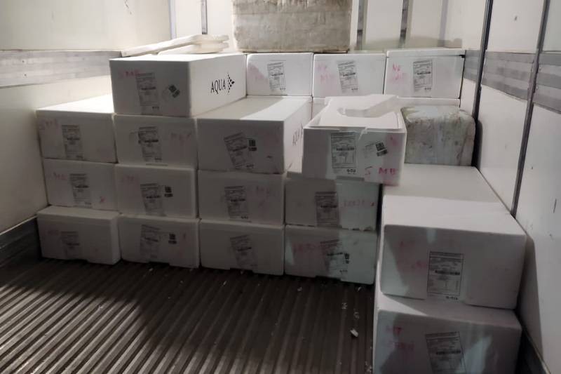Mais de 200 kg de filé de salmão são apreendidos sem nota fiscal em Marabá, sudeste paraense