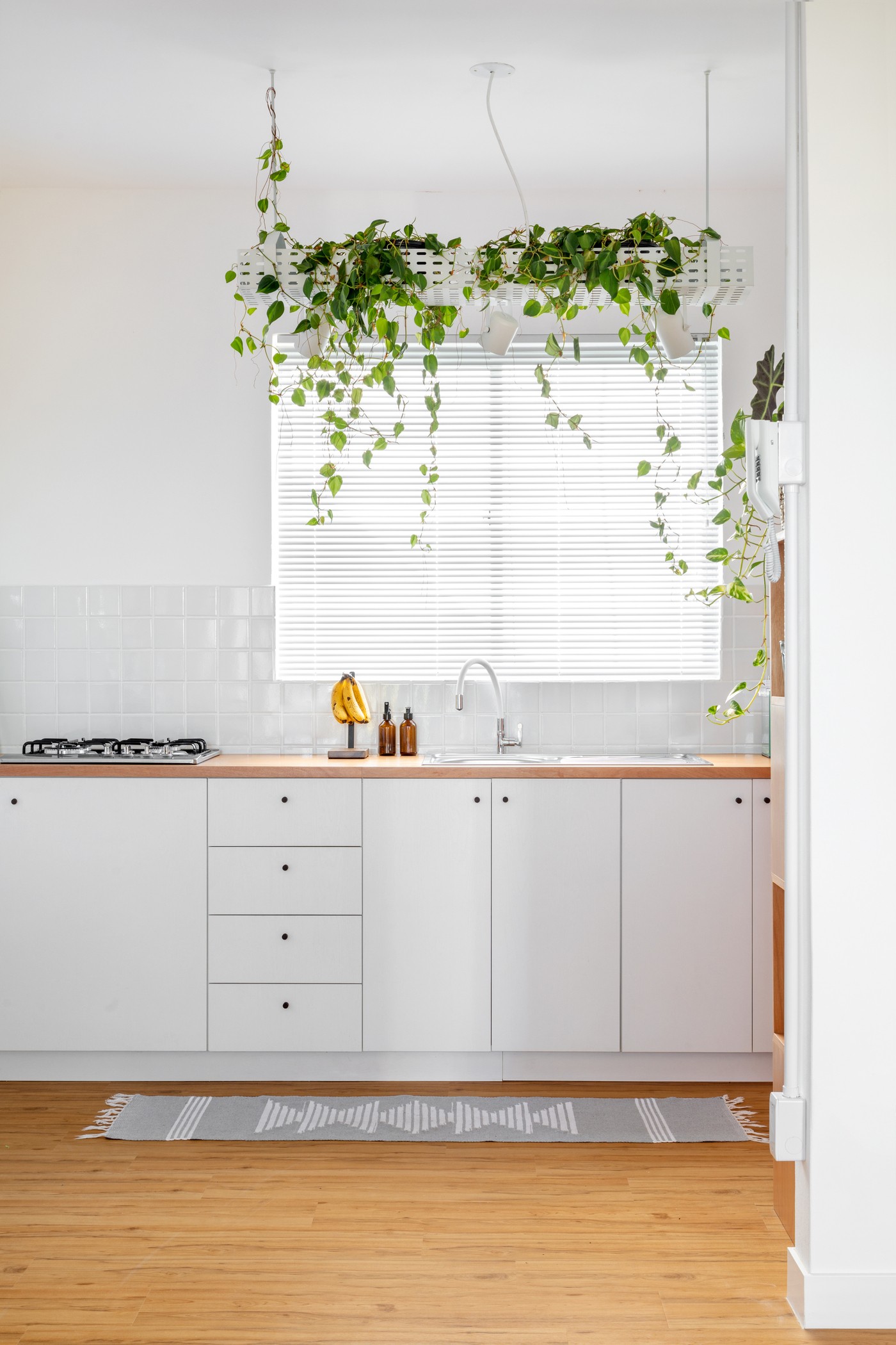Décor do dia: cozinha branca com prateleira de plantas e ares minimalistas (Foto: Fabio Jr. Severo)