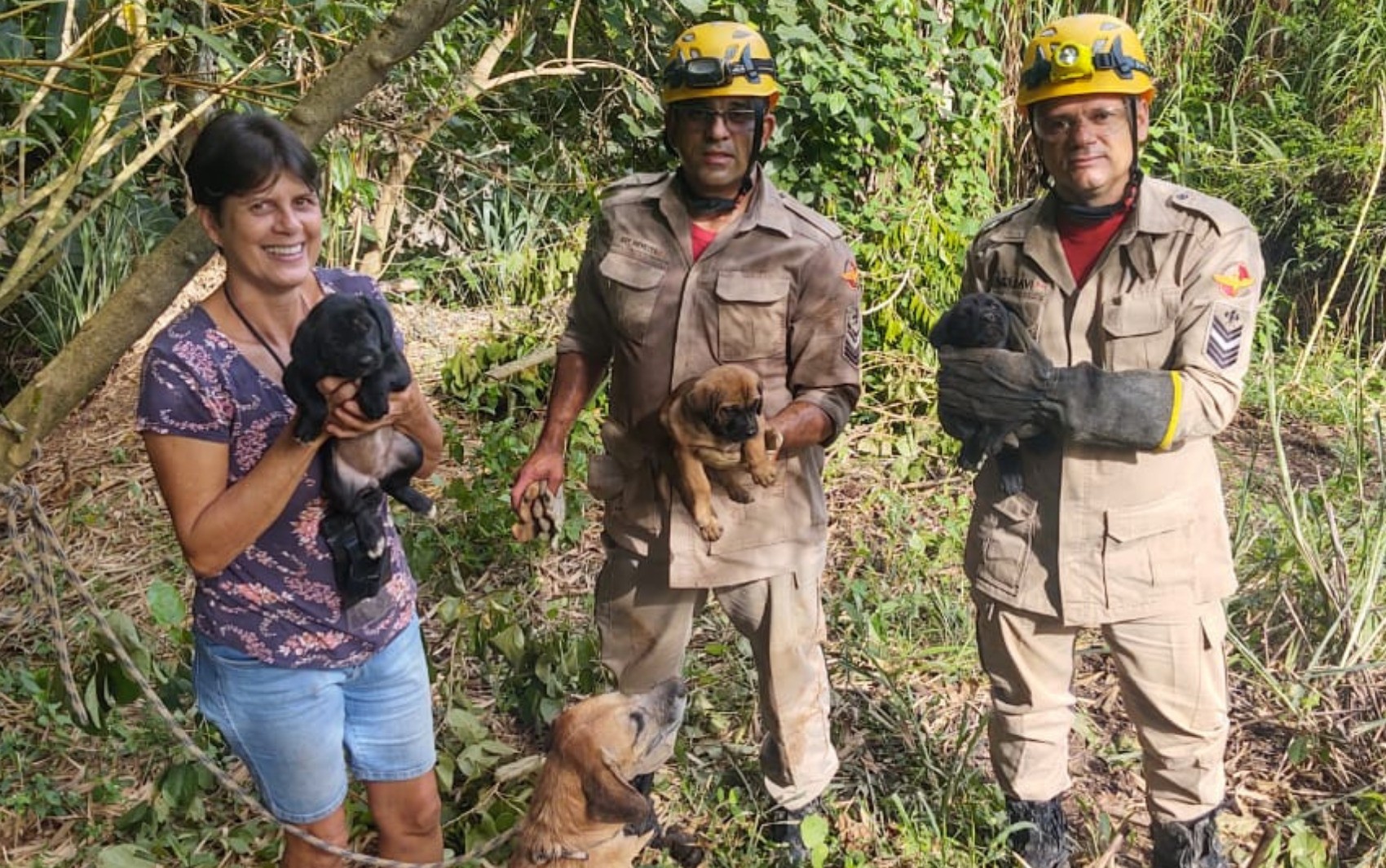 Bombeiros precisam cavar buraco para resgatar filhotes de cachorro presos em fossa desativada; vídeo