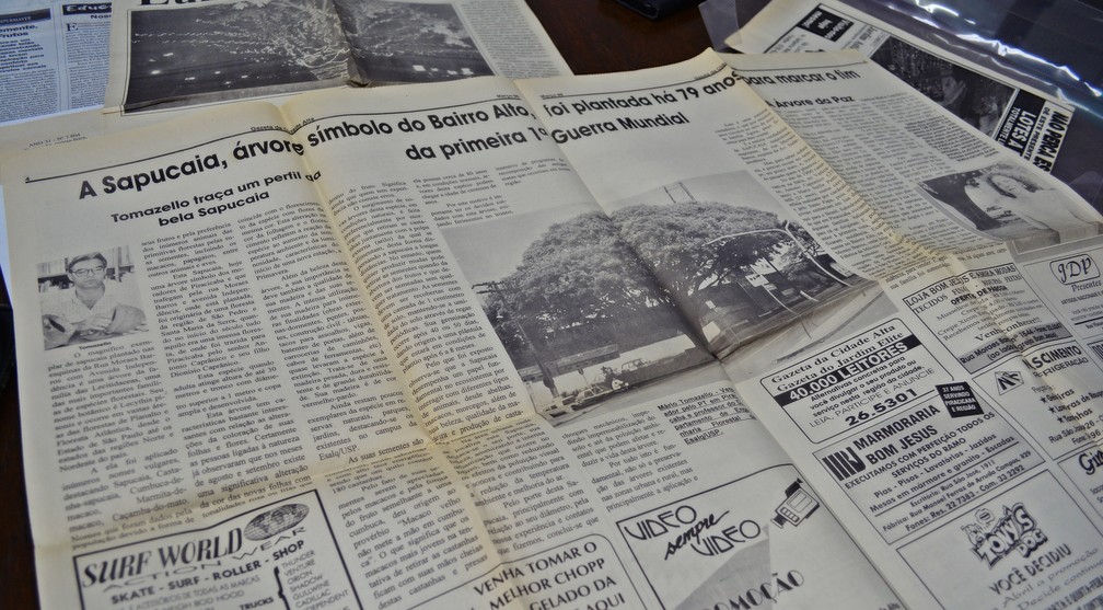 Artigo de jornal do bairro Alto onde Valdiza contou histÃ³ria da Sapucaia de Piracicaba â?? Foto: Samantha Silva/G1