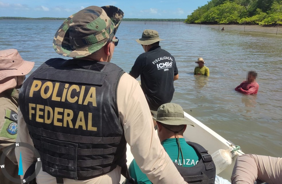 PF e ICMBio fazem operação no Delta do Parnaíba — Foto: Divulgação/Polícia Federal