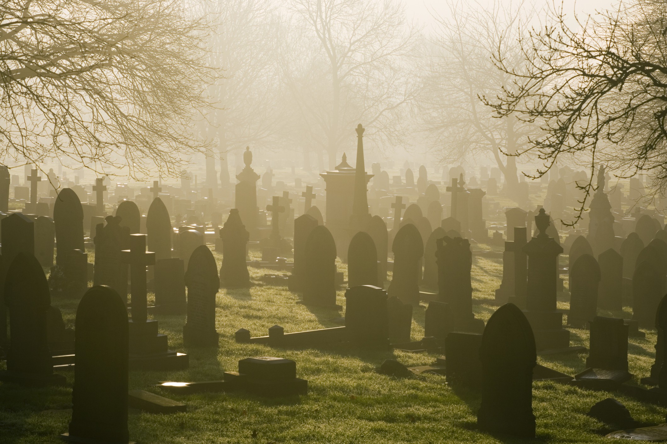 Low winter sunlight flooding through a misty cemetery in Stoke-on-Trent. (Foto: Getty Images)