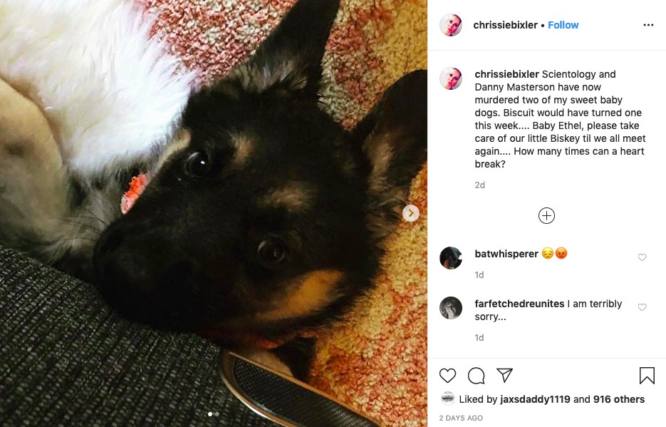O post de Chrissie Carnell Bixler lamentado a morte do cachorro e fazendo acusações contra a Cientologia e o ator Danny Masterson (Foto: Instagram)