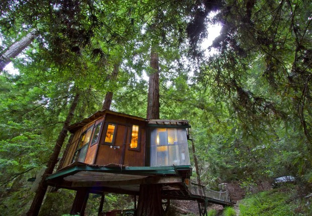 Casa na árvore Redwood (Foto: Reprodução Airbnb)