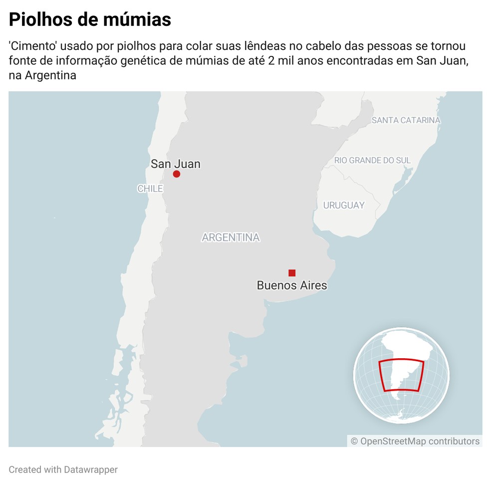 Piolhos de múmias: 'Cimento' usado por piolhos para colar suas lêndeas no cabelo das pessoas se tornou fonte de informação genética de múmias de até 2 mil anos encontradas em San Juan, na Argentina — Foto: g1