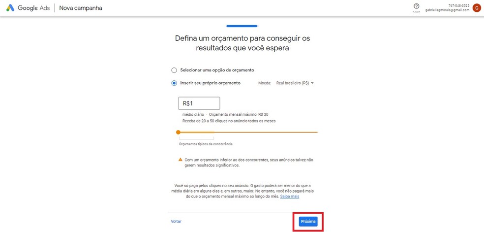 Insira o valor que você está disposto a investir em sua campanha no Google Ads — Foto: Reprodução/Gabrielle Garcia