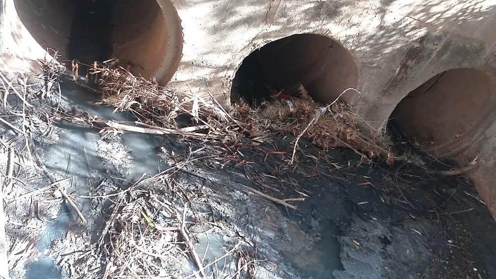 Moradores reclamam de esgoto a céu aberto em parque ecológico na região dos bairros Parque São Matheus e Parque São Lucas, em Presidente Prudente (SP) — Foto: Cedida