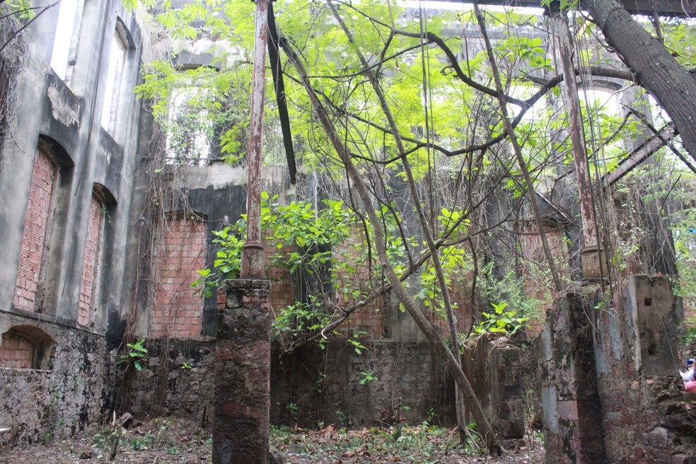 Estrutura está abandonada, em Manaus — Foto: Carolina Diniz/G1 AM