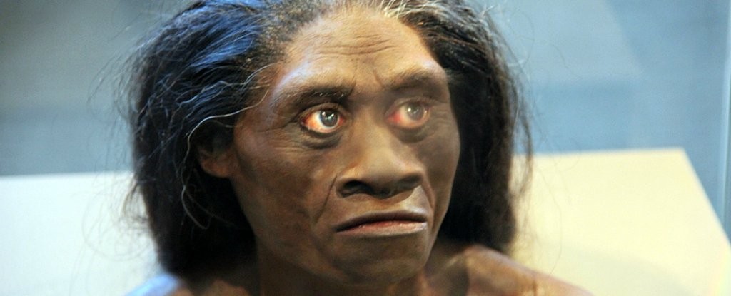 Espécie Homo floresiensis foi apelidada de hobbit por causa da baixa estatura (Foto: Tim Evanson/Flickr)