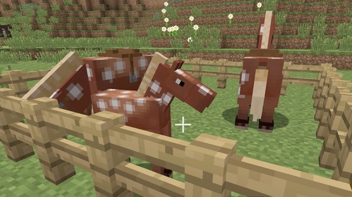 Reproduzir cavalos em Minecraft pode criar cavalos com atributos melhores (Foto: Reprodução/Rafael Monteiro)