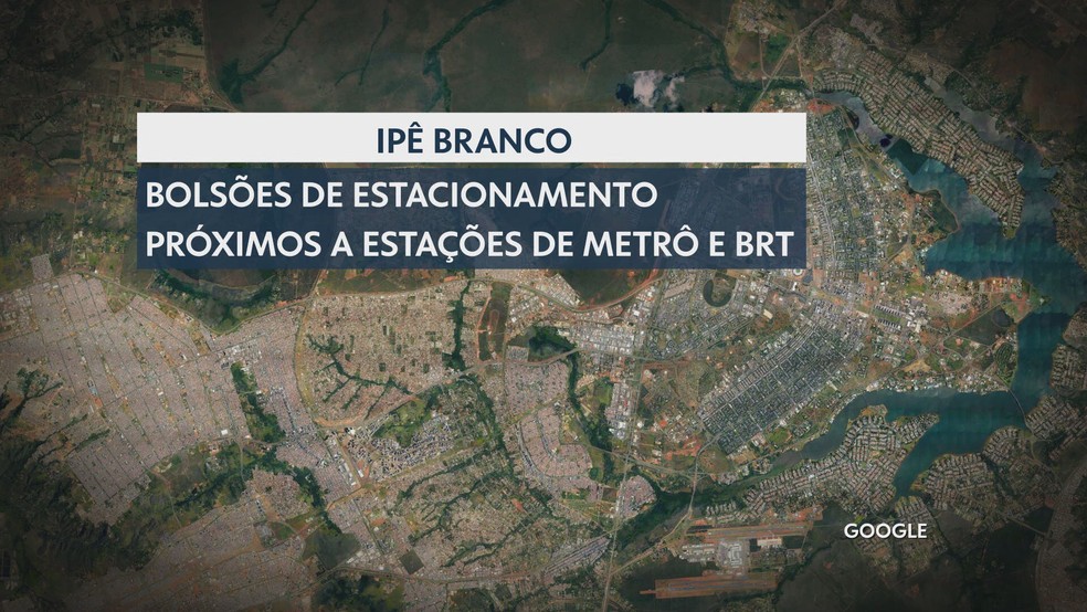 Projeto Zona Verde do DF Ipê Branco — Foto: TV Globo/Reprodução