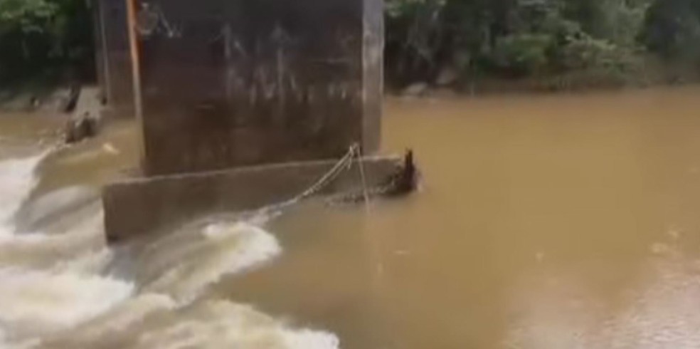 Grupo atravessava uma ponte desativada no Rio Itanhaém quando foram atingidos por uma cabeça d'água — Foto: Reprodução/Corpo de Bombeiros