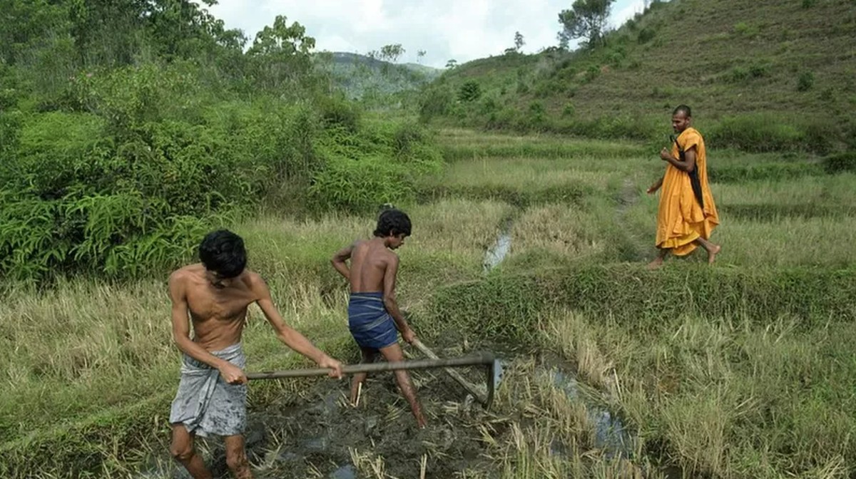 O papel da agricultura orgânica na crise que levou à queda do governo do Sri Lanka