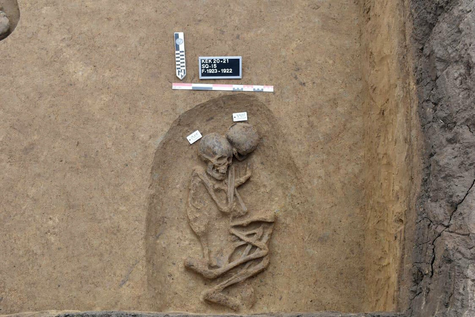 Esqueletos encontrados no sítio arqueológico Koum el-Khulgan, na província de Dakahlia, no Egito  (Foto: Ministério do Turismo e Antiguidades do Egito )