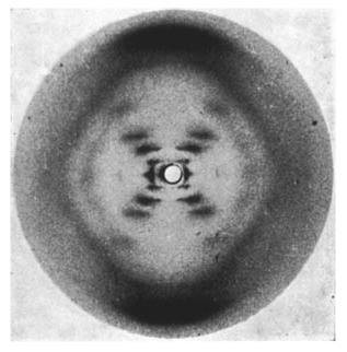 Photo 51, a primeira imagem feita da estrutura de dupla hélice do nosso DNA (Foto: Wikimedia Commons)