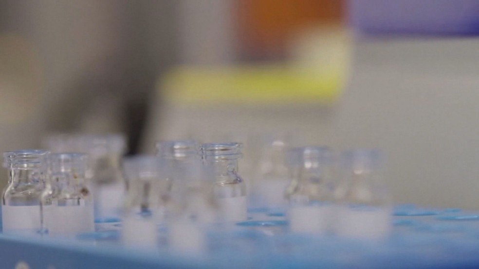 Laboratório faz teste para vacina contra Covid-19 — Foto: TV Globo/Reprodução 