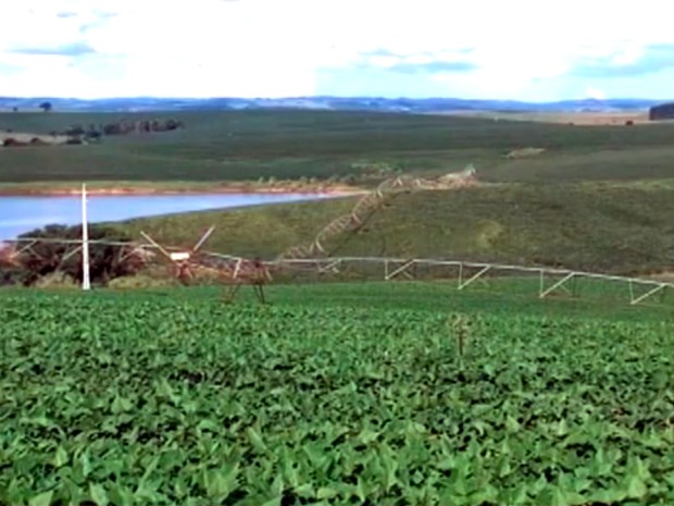 Produtores de milho comemoram resultados com irrigação no RS (Foto: Reprodução/RBS TV)