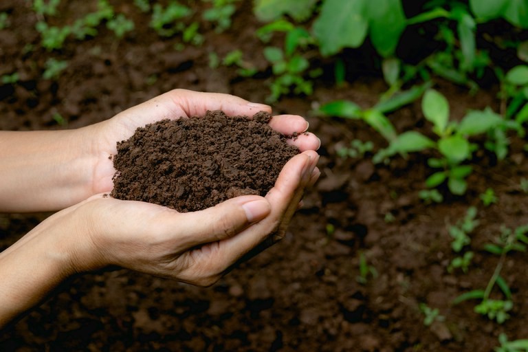 Earth and fertilizer (Photo: iStock / Map / Disclosure)