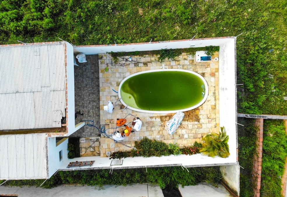 Homem morto foi encontrado em piscina suja em Santana do Ipanema, em Alagoas — Foto: Divulgação/  CBM- AL e Grupamento Aéreo