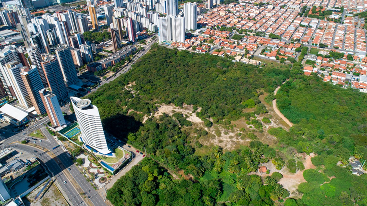 Ceará preserva apenas 7,4% de toda a Mata Atlântica que já ...