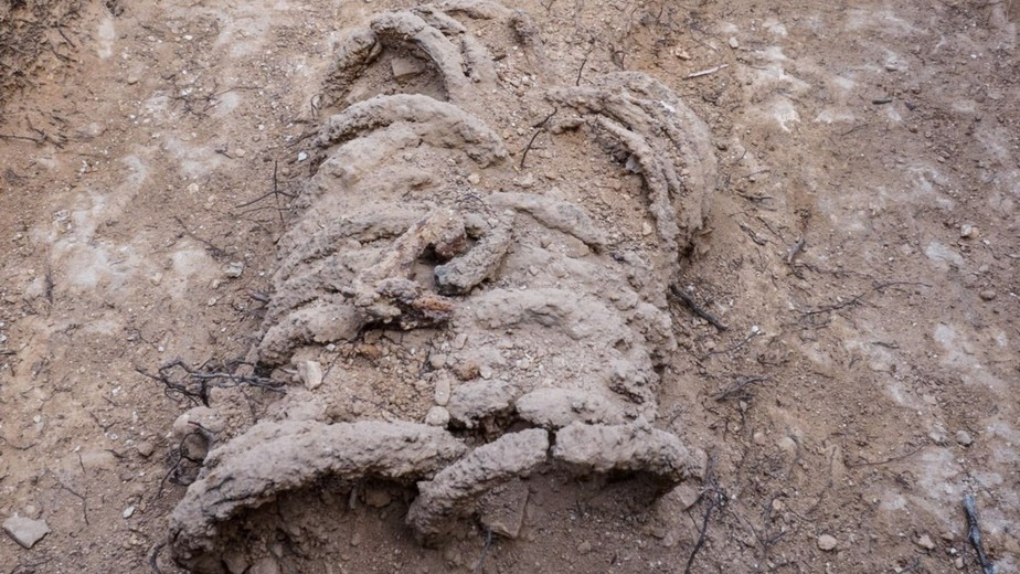 Esqueleto de um monge bizantino acorrentado em anéis de ferro foi descoberto em uma escavação perto de Jerusalém