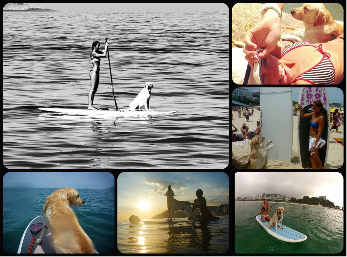 Cãopanheiro: Ciça do pólo aquático do Fla faz stand-up com seu labrador