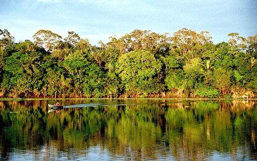 Já atingimos ponto de não retorno em algumas regiões da Amazônia