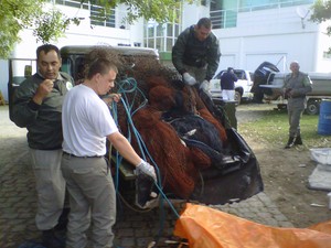 Redes usadas na pesca predatória serão incineradas (Foto: Julieta Amaral/RBS TV)